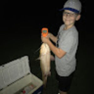 Meet your Posher, Levi